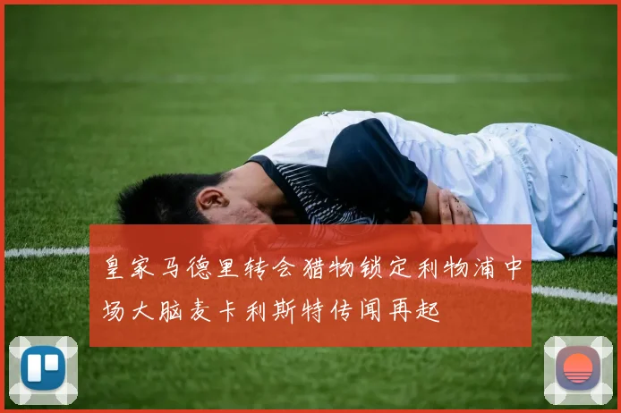 皇家马德里转会猎物锁定利物浦中场大脑麦卡利斯特传闻再起